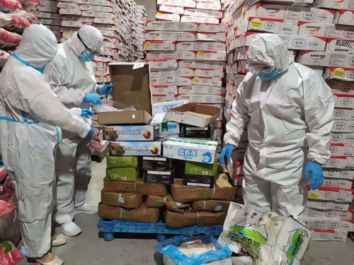 烏蘭察布市場監管局強化進口冷鏈食品與奶制品監管，突擊檢查批發及進出口環節